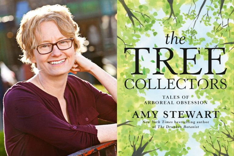 The Tree Collectors Book Covers and on the left the author smiling Amy Stewart